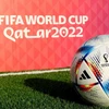 FIFA World Cup Qatar 2022 sẽ được tổ chức từ ngày 20/11 đến ngày 18/12. (Nguồn: CFP)
