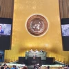 Đại sứ Đặng Hoàng Giang phát biểu tại một phiên họp của Đại hội đồng Liên hợp quốc. (Ảnh minh họa. Nguồn: TTXVN)