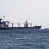 Tàu chở ngũ cốc của Ukraine đi qua Eo biển Bosphorus ở Istanbul, Thổ Nhĩ Kỳ, ngày 3/8/2022. (Ảnh: THX/TTXVN)
