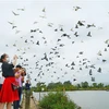 Các đại biểu tham gia trải nghiệm khu du lịch đảo Bầu, huyện An Lão, Hải Phòng. (Ảnh: TTXVN)