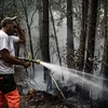 Nhân viên cứu hỏa nỗ lực khống chế các đám rừng tại Pháp. (Ảnh: AFP/TTXVN)
