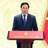 Phó Thủ tướng Thường trực Chính phủ Phạm Bình Minh phát biểu. (Ảnh: TTXVN phát)