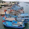 Tàu thuyền đánh bắt xa bờ của ngư dân vào neo đậu tránh bão Noru tại cảng cá Ninh Chữ, huyện Ninh Hải, Ninh Thuận. (Ảnh: Nguyễn Thành/TTXVN)