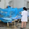 Bệnh nhân mắc sốt xuất huyết được điều trị tại bệnh viện ở Karachi, Pakistan. (Ảnh: THX/TTXVN)