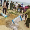 Ngư dân cùng lực lượng biên phòng thu gom, chôn lấp cá chết dạt vào bờ năm 2016. (Ảnh: TTXVN)