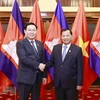 Chủ tịch Quốc hội Vương Đình Huệ hội kiến Chủ tịch Thượng viện Campuchia Samdech Say Chhum. (Ảnh: Doãn Tấn/TTXVN)