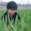 Chị Trần Thị Quỳnh Vân tại nông trại của mình ở phường Hưng Đạo, quận Dương Kinh, thành phố Hải Phòng. (Ảnh: Hoàng Ngọc/TTXVN)