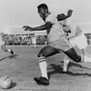 Tiền đạo Brazil Pele đi bóng trong trận giao hữu ở Malmoe (Thụy Điển) ngày 8/5/1960. Pele ghi hai bàn, góp phần vào chiến thắng 7-1 cho tuyển quốc gia. (AFP/TTXVN)