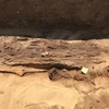 Một xác ướp được phát hiện tại địa điểm khảo cổ ở Quweisna, tỉnh Menoufiya, Ai Cập. (Ảnh: THX/TTXVN)