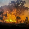 Nhân viên cứu hỏa khống chế các đám cháy tại Tây Australia. (Ảnh: AFP/TTXVN)