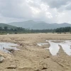 Bãi tập kết cát cùng xe cơ giới gần mỏ cát sông Vệ đoạn thôn Tân Long Trung, xã Ba Động. (Ảnh: Phạm Cường/TTXVN)