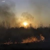 Các đám cháy rừng tại tỉnh Entre Rios, Argentina. (Ảnh: AFP/TTXVN)