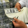 Nhân viên kiểm đồng USD tại ngân hàng. (Ảnh: AFP/TTXVN)