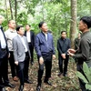 Đoàn công tác khảo sát tại hộ dân trồng rừng ở thành phố Hạ Long. (Nguồn: Báo Điện tử Chính phủ)