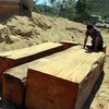 Các hộp gỗ lậu được khai thác, tập kết tại mỏ khai thác cát, sỏi 87 thuộc xã Đăk Pxi, huyện Đăk Hà, tỉnh Kon Tum. (Ảnh: Cao Nguyên/TTXVN)