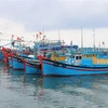 Tàu đánh bắt xa bờ neo đậu tại cảng cá Mỹ Tân ở xã Thanh Hải, huyện Ninh Hải, Ninh Thuận. (Ảnh: Nguyễn Thành/TTXVN)
