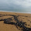 Vệt dầu vón cục xuất hiện dày đặc tại bờ biển Tuy Hòa. (Ảnh: TTXVN phát)