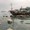 Mặt biển bị rác thải bủa vây, mất mỹ quan, gây ô nhiễm môi trường. (Ảnh: Thanh Vân/TTXVN)