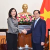 Bộ trưởng Ngoại giao Bùi Thanh Sơn tiếp bà Pauline Tamesis, Điều phối viên thường trú Liên hợp quốc tại Việt Nam. (Nguồn: Báo Quốc tế)