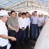 Thủ tướng Phạm Minh Chính xem sơ đồ dự án tuyến đường bộ cao tốc Phan Thiết-Vĩnh Hảo. (Ảnh: Dương Giang/TTXVN)