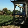 Cống ven biển xã Sơn Bình, huyện Hòn Đất, tỉnh Kiên Giang được đóng để ngăn mặn, giữ ngọt phục vụ sản xuất cho nông dân. (Ảnh: Lê Sen/TTXVN)