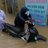 Phường Ghềnh Ráng, thành phố Quy Nhơn ngập nặng do mưa lớn hồi cuối tháng 11/2022. (Ảnh: Lê Ngọc Phước/TTXVN)