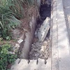 Các tấm đan đậy rãnh thoát nước trên Xa lộ Hà Nội và Quốc lộ 1 đoạn qua thành phố Thủ Đức bị đập phá. (Ảnh: TTXVN phát)