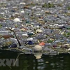 Rác thải nhựa tràn ngập tại hồ Suchitlan ở El Salvador. (Ảnh: AFP/TTXVN)