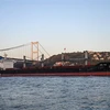 Tàu chở ngũ cốc của Ukraine di chuyển qua Eo biển Bosphorus ở Istanbul, Thổ Nhĩ Kỳ ra khu vực biển Marmara, ngày 2/11/2022. (Ảnh: AFP/TTXVN)