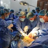 Ca phẫu thuật ghép thận đầu tiên thành công tại Bệnh viện Hữu nghị Việt Tiệp. (Ảnh: TTXVN phát)