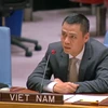 Đại sứ Đặng Hoàng Giang, Trưởng Phái đoàn đại diện Thường trực Việt Nam tại Liên hợp quốc. (Ảnh: TTXVN phát)