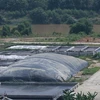 Khu xử lý chất thải của trang trại lợn thuộc Công ty Cổ phần Phát triển Nông nghiệp Công nghệ cao Tích hợp Anifer. (Ảnh: Tuấn Anh/TTXVN)