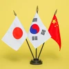 Tại Hội nghị Thượng đỉnh ba bên đầu tiên vào năm 2008, lãnh đạo 3 nước Hàn Quốc, Nhật Bản, Trung Quốc đã nhất trí tổ chức hội nghị thường niên và luân phiên. (Nguồn: 123rf)
