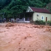 Nhiều nhà dân và các cơ quan đơn vị tại khối 1 thị trấn Mường Xén, huyện Kỳ Sơn, tỉnh Nghệ An, bị chia cắt do nước lũ chảy xiết. (Ảnh: TTXVN phát)