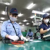 Công nhân làm việc tại Khu Công nghiệp Quang Châu, huyện Việt Yên, tỉnh Bắc Giang. (Ảnh: Danh Lam/TTXVN)