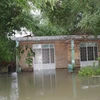 Nhà tại xóm Bầu, thôn Tân Hy 2, xã Bình Đông, huyện Bình Sơn bị ngập. (Ảnh: Đinh Hương/TTXVN)