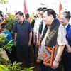 Chủ tịch Quốc hội Vương Đình Huệ chứng kiến cuộc thi hái càphê tại Hội thi Nhà nông đua tài. (Ảnh: Doãn Tấn/TTXVN)