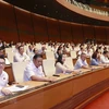 Đại biểu Quốc hội biểu quyết thông qua Nghị quyết. (Ảnh: Doãn Tấn/TTXVN)