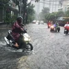 Mưa lớn gây ngập tại Đà Nẵng. (Ảnh minh họa. Nguồn: TTXVN)