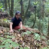 Nhiều hộ dân tại huyện Đăk Glei (Kon Tum) đã mạnh dạn vay vốn để đầu tư vào trồng dược liệu dưới tán rừng vươn lên thoát nghèo. (Ảnh: Khoa Chương/TTXVN)