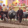 Lễ hội Tịch điền Đọi Sơn tái hiện truyền thống 'dĩ nông vi bản' (Lấy nghề nông làm gốc). (Ảnh: Minh Quyết/TTXVN)