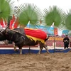 Nghi lễ tịch điền - đường cày đầu Xuân tại Lễ hội Lồng Tông truyền thống của đồng bào dân tộc Tày. (Ảnh: Quang Cường/TTXVN)