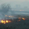 Cháy rừng ở bang Texas. (Nguồn: KFDA)