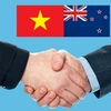 Làm sâu sắc hơn quan hệ hợp tác nhiều mặt Việt Nam-New Zealand