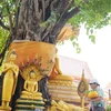 Người dân thực hiện nghi lễ tắm Phật phía ngoài sân chùa Simueang ở thủ đô Vientiane. (Ảnh: Đỗ Bá Thành/TTXVN)