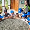 Học sinh trải nghiệm cách nuôi tằm tại huyện Nghĩa Hành, tỉnh Quảng Ngãi. (Ảnh: TTXVN phát)