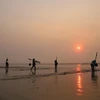 Ngư dân làng biển Hương Châu (xã Diễn Kim, huyện Diễn Châu, Nghệ An) đi cào ngao trên bờ biển. (Ảnh: Xuân Tiến/TTXVN)