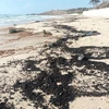 Dầu vón cục trôi dạt vào bãi biển Mũi Né, thành phố Phan Thiết, tỉnh Bình Thuận. (Ảnh: Nguyễn Thanh/TTXVN)