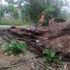Nhiều nhà dân ở xã Châu Quế Thượng, huyện Văn Yên bị đổ sập, tốc mái. (Ảnh: TTXVN phát)