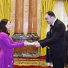 Quyền Chủ tịch nước Võ Thị Ánh Xuân tiếp nhận Quốc thư của Đại sứ Armenia Suren Baghdasaryan. (Ảnh: Thống Nhất/TTXVN)